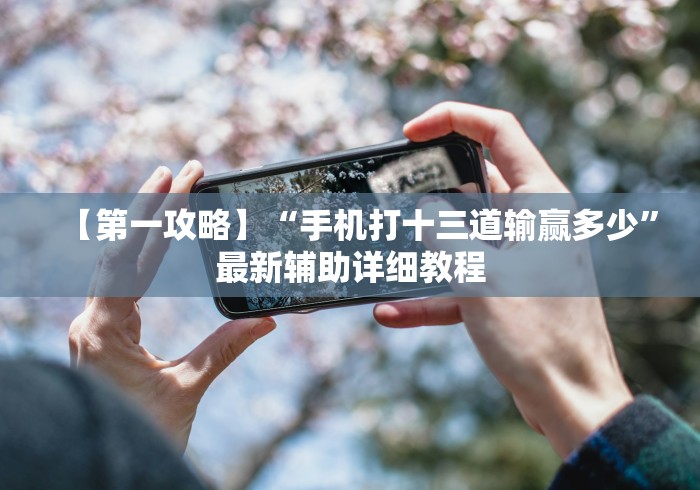 【独家发现】“多乐跑得快15张开挂神器”可以开挂作弊
