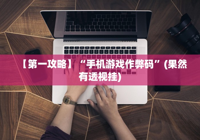 【第一攻略】“手机游戏作弊码	”(果然有透视挂)