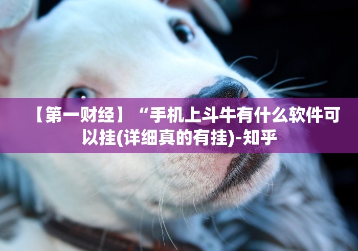 【第一财经】“琼瑶互娱到底有没有挂”详细分享装挂步骤教程