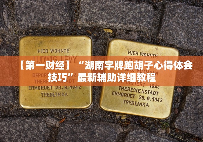 一分钟了解!来趣广西麻将十三张挂”分享必要外挂教程