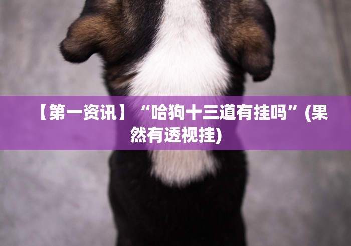 【第一资讯】“哈狗十三道有挂吗	”(果然有透视挂)