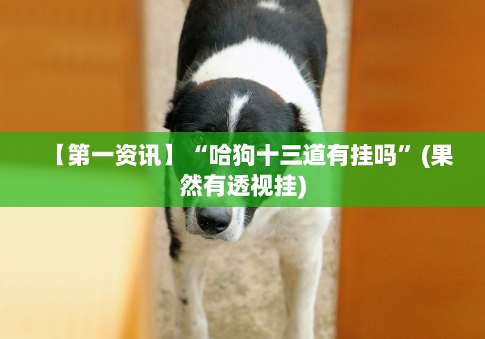 【第一资讯】“哈狗十三道有挂吗”(果然有透视挂)