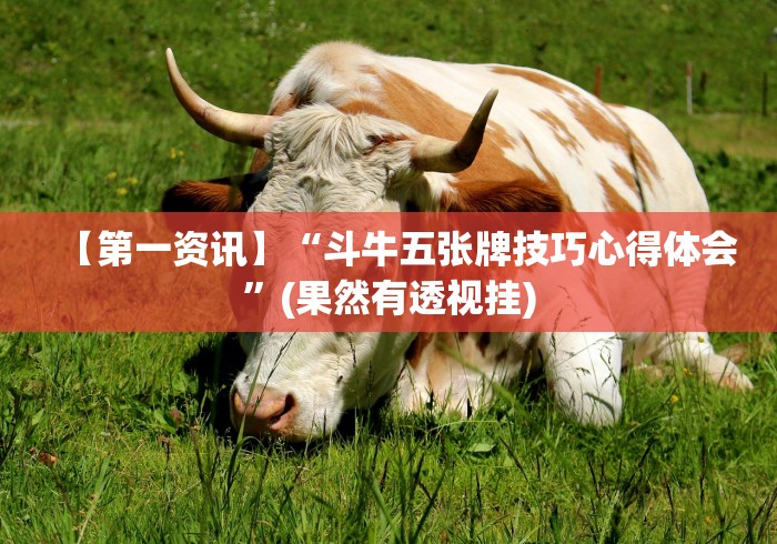 玩家秒懂“小程序麻将开挂神器免费版”科技辅助神器手机版教程