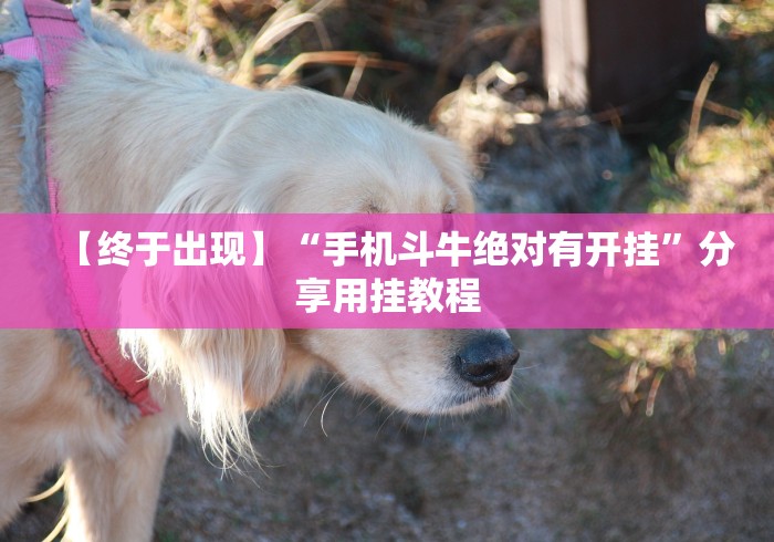 盘点"天天贵阳麻将挂先试用后付款”(原来确实是有插件)