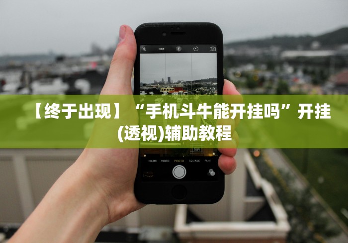 【独家发现】“阿拉游戏中心辅助器	”附透视挂详细教程 