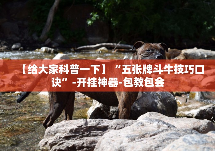 教程更新!:微信红包双尾数规律	”(原来确实是有插件) 