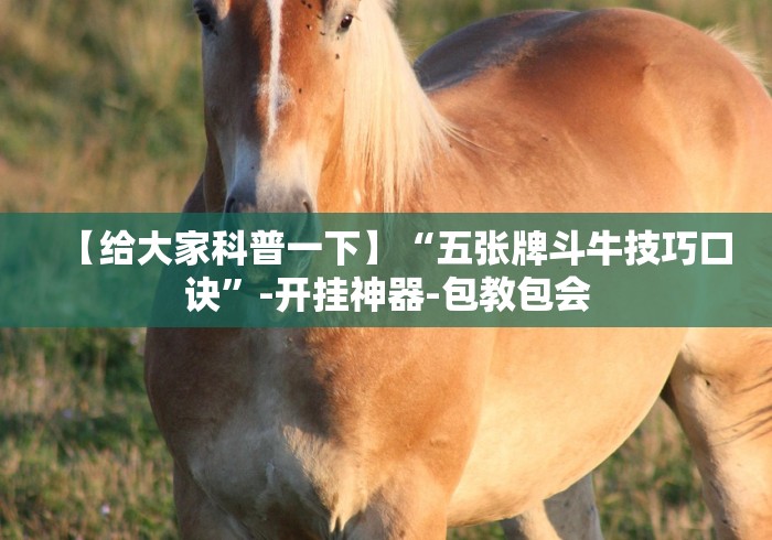 科普一下小宝跑得快可以开挂吗!专业师傅带你一起了解(确实有挂) 科普一下小宝跑得快可以开挂吗!专业师傅带你一起了解(确实有挂)