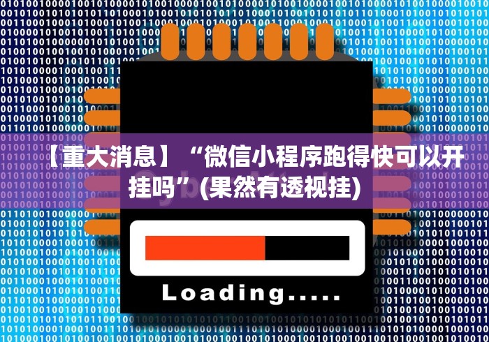 【重大消息】“微信小程序跑得快可以开挂吗	”(果然有透视挂)