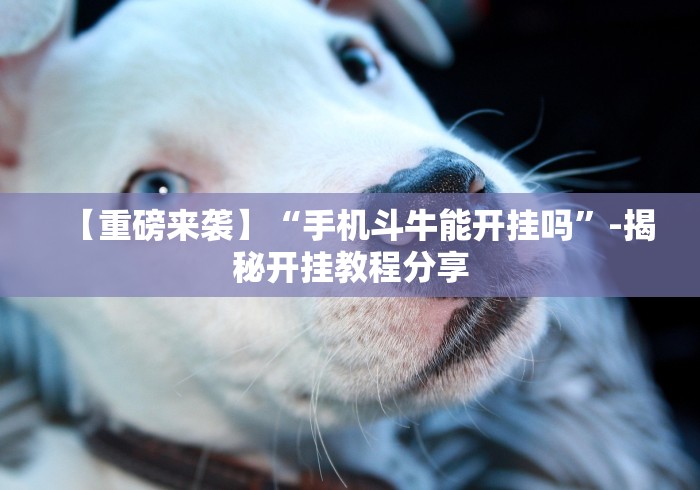 解析分享“终于找到胡乐麻将有挂吗”(透视)其实确实有挂
