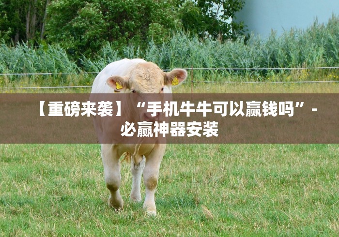 【重磅来袭】“手机牛牛可以赢钱吗”-必赢神器安装
