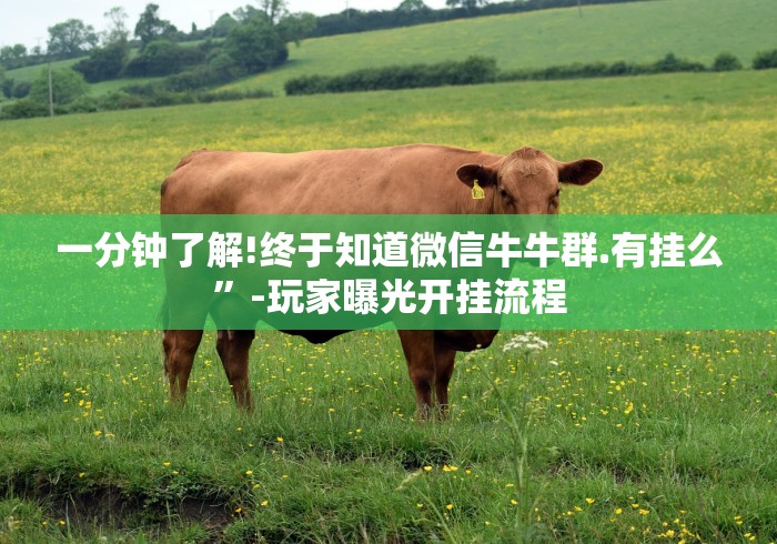 分享实测攻略“南通长牌开挂神器下载”分享用挂教程