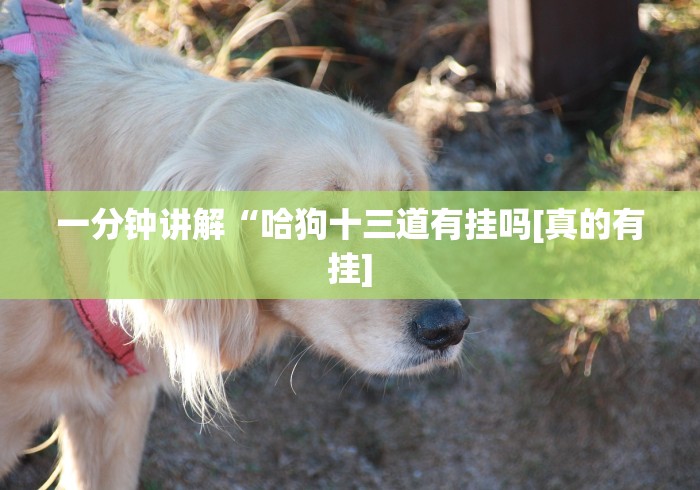 分析必看“微乐跑得快透视挂免费安装(详细透视开挂教程) 分析必看“微乐跑得快透视挂免费安装(详细透视开挂教程)