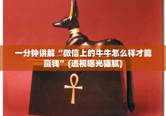 知识科普“微乐小程序麻将有挂不”(透视)其实确实有挂