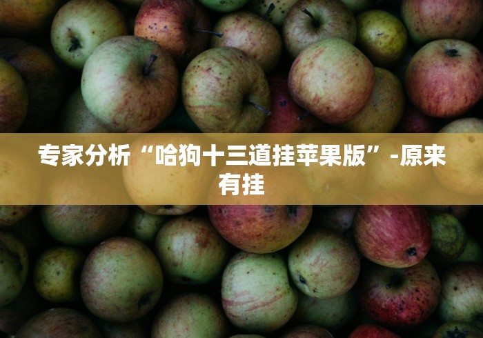 助赢神器“乐胡麻将开挂神器”必胜开挂神器