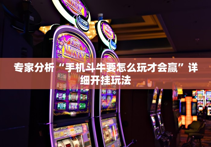 辅助挂机软件“镇雄关春天开挂一神器”(最新透视辅助上线)