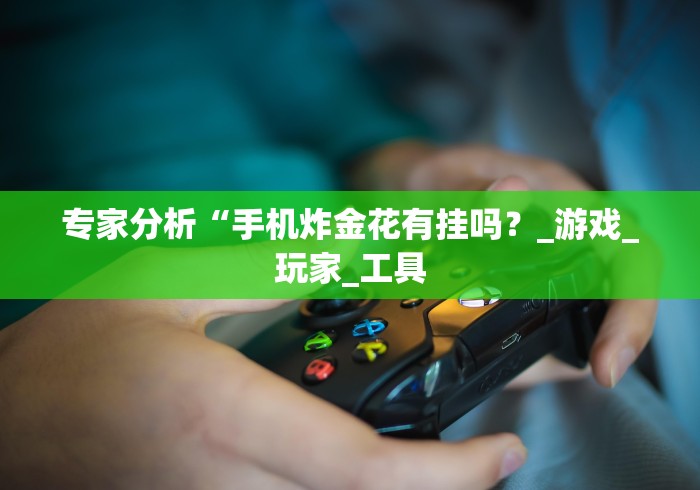 必胜技巧全攻略“微乐捉鸡麻将怎样设置才容易赢”(果然有透视挂) 