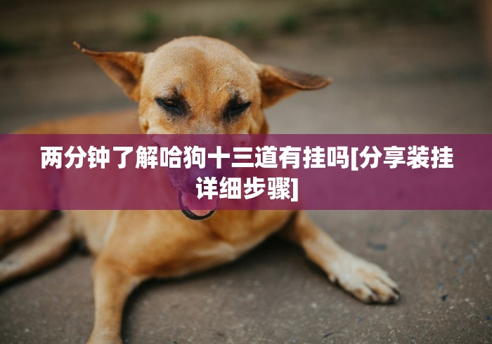 真实辅助“家家乐牌吧有挂吗”确实果然有挂 