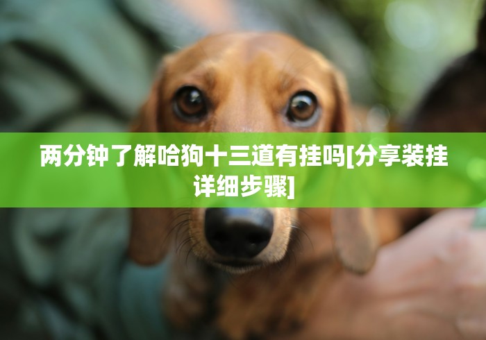 实测!“微乐吉林麻将怎样免费开挂	”确实果然有挂 