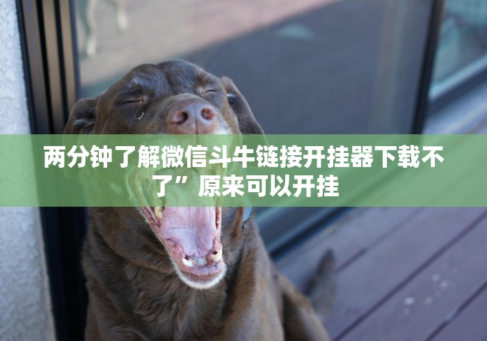推荐辅助使用‘贵阳捉鸡麻将挂先试用再付款	”(原来确实是有挂)