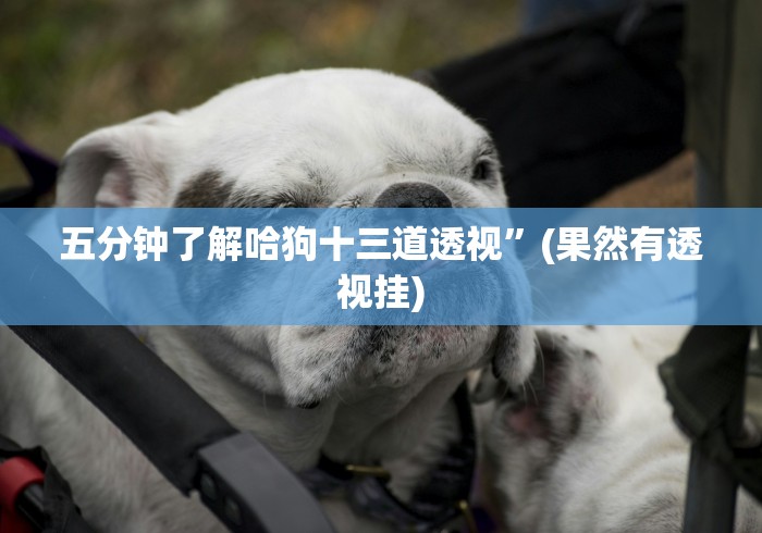 【给大家科普一下】“微乐麻将老是输怎么搞提高胜率”(详细透视教程)-知乎