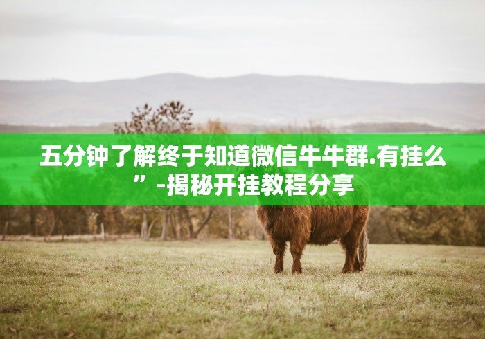 五分钟了解终于知道微信牛牛群.有挂么	”-揭秘开挂教程分享