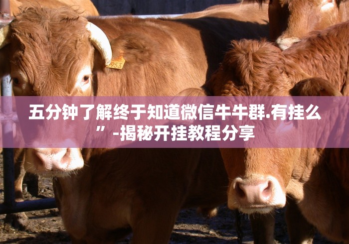 五分钟了解终于知道微信牛牛群.有挂么”-揭秘开挂教程分享
