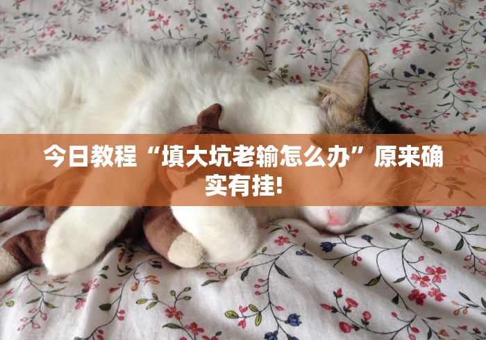 重大通报“天天牌友会输赢概率”(透视)开挂详细教程
