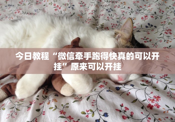 玩家秒懂“微乐麻将怎么总是输”作弊(透视)透视辅助