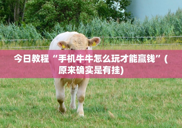 终于懂了“微信牛牛链接版有挂吗”详细辅助软件教程