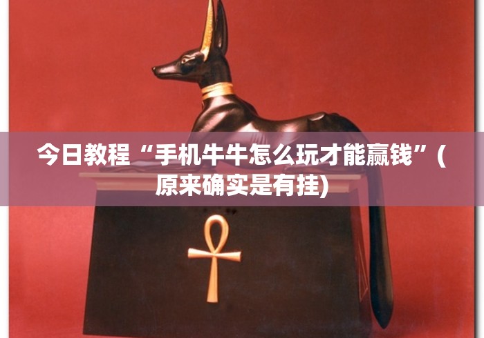 【玩家必备技术】“微乐家乡麻将挂先试用后付款	”(必备工具)辅助教学