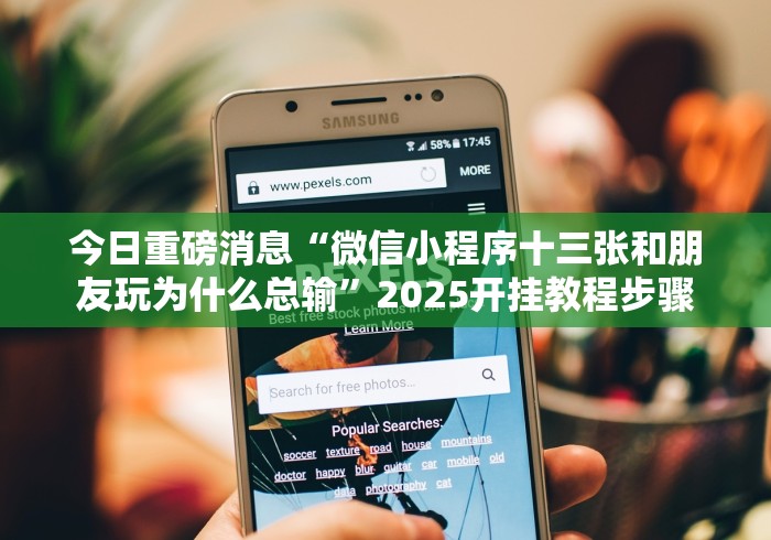 理论分享“微乐锄大地透视免费安装苹果版”详细开挂教程