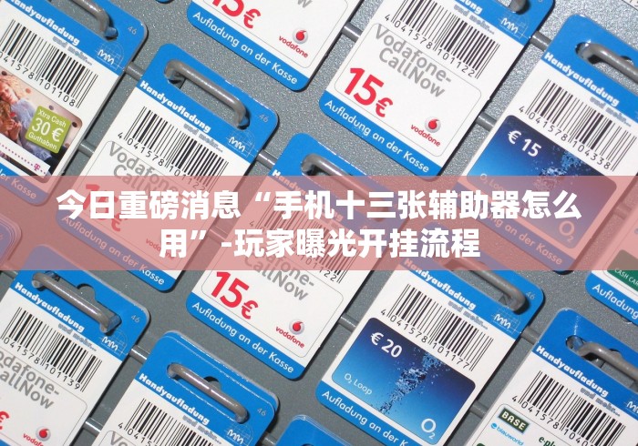 内测功能“新道游辅助器(免费)[确实真的有挂]