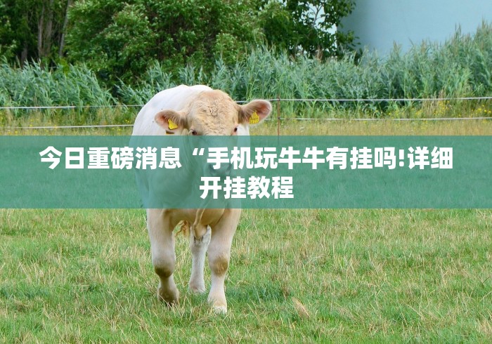 终于懂了“微信牛牛链接版有挂吗”详细辅助软件教程