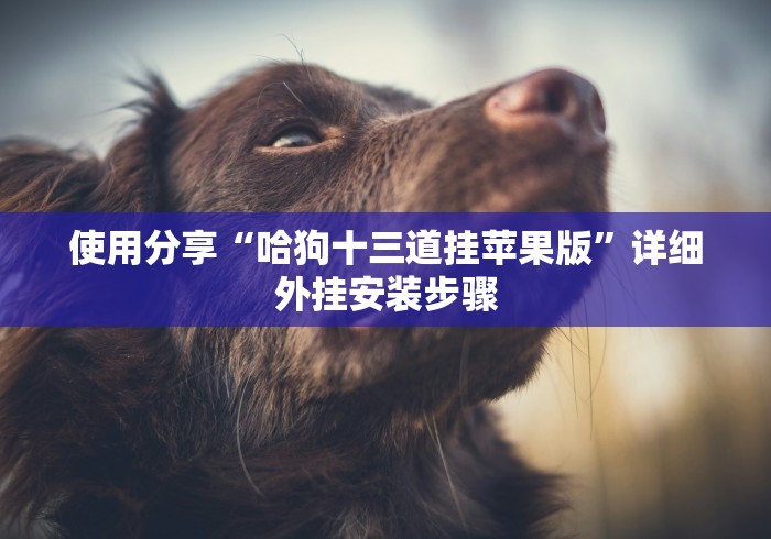 7分钟揭秘"微乐麻将赢不了!详细开挂教程 7分钟揭秘"微乐麻将赢不了!详细开挂教程