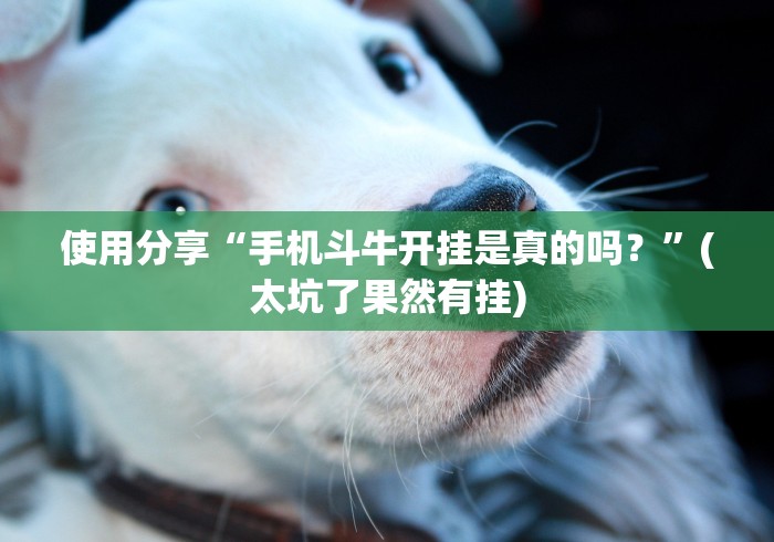 使用分享“手机斗牛开挂是真的吗？”(太坑了果然有挂)