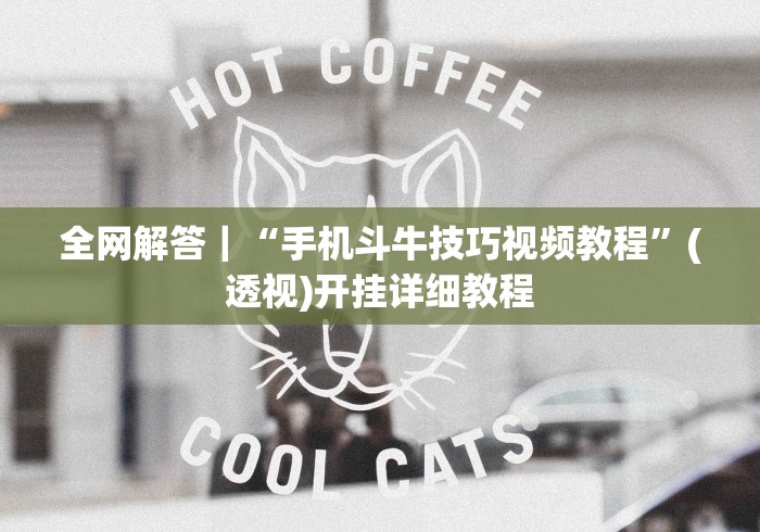 玩家辅助神器“三三麻将有挂吗”揭秘透视辅助万能挂用法