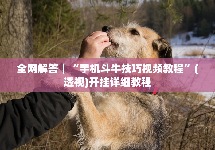 【最新科普】聚乐麻将挂怎么开”(透视)其实确实有挂
