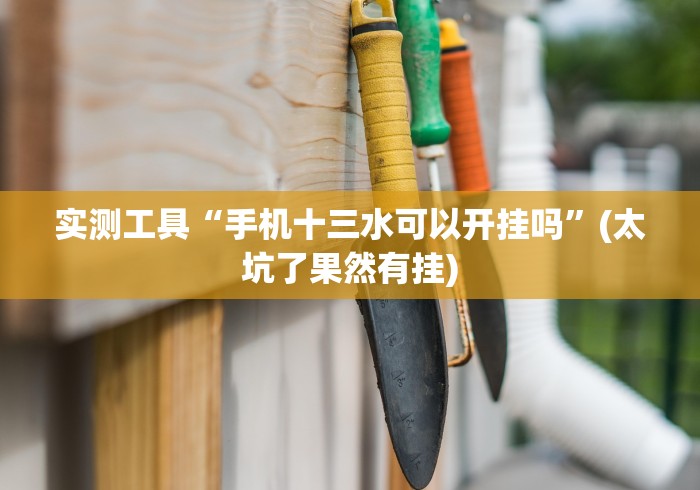 [实测]“怎么买手机麻将挂”-必赢神器安装