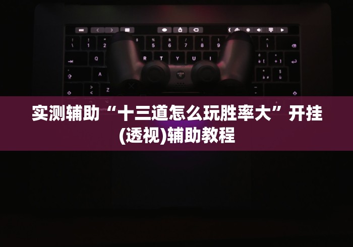 实测辅助“十三道怎么玩胜率大”开挂(透视)辅助教程