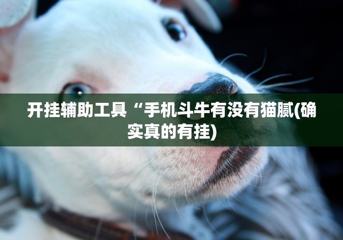 [8秒详论]“心悦踢坑输到啥时候能赢[分享装挂详细步骤]