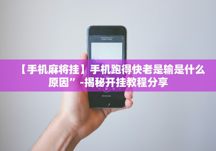 辅助挂机软件“功夫川麻小程序万能开挂器”(其实是有挂)