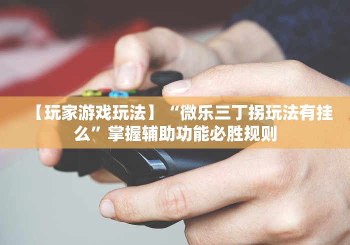 【玩家游戏玩法】“微乐三丁拐玩法有挂么	”掌握辅助功能必胜规则