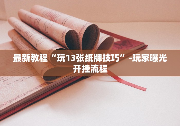 最新教程“玩13张纸牌技巧”-玩家曝光开挂流程
