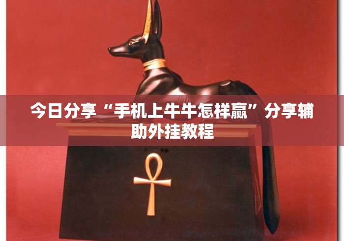 今日分享“手机上牛牛怎样赢	”分享辅助外挂教程