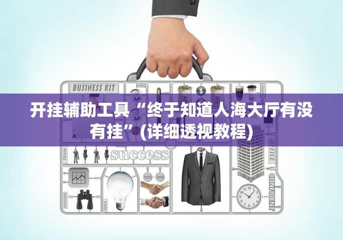 开挂辅助工具“终于知道人海大厅有没有挂”(详细透视教程)