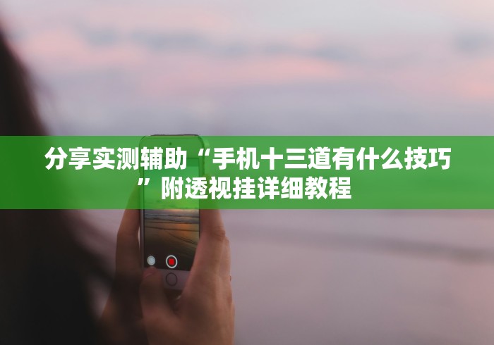 分享实测辅助“手机十三道有什么技巧”附透视挂详细教程 