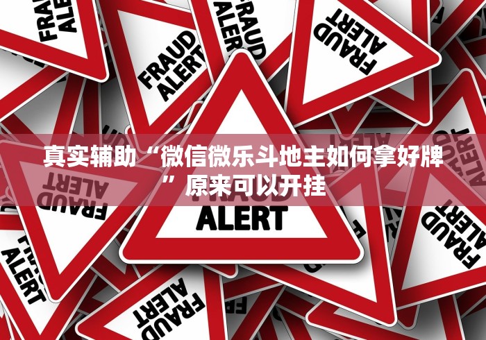 真实辅助“微信微乐斗地主如何拿好牌”原来可以开挂