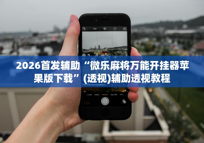 辅助教程分享“十三张必胜组合”(详细开挂教程)