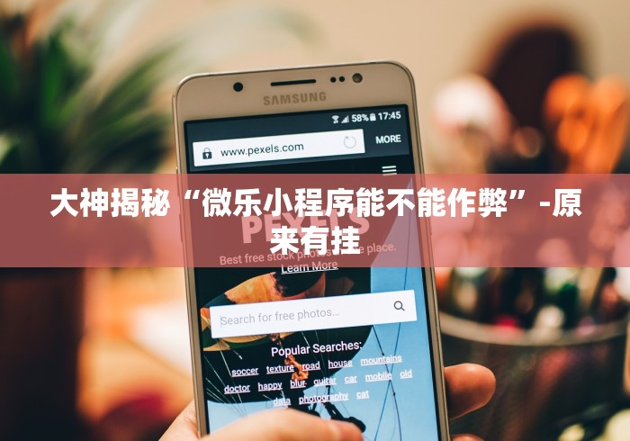 大神揭秘“微乐小程序能不能作弊”-原来有挂