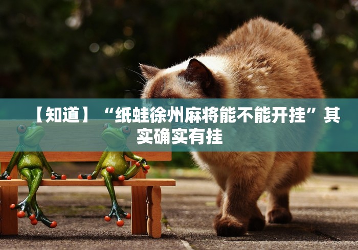 【知道】“纸蛙徐州麻将能不能开挂	”其实确实有挂